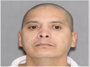 ICE Arrests Nearly 70% Criminal Illegal Aliens Including Murderers and Sexual Offenders