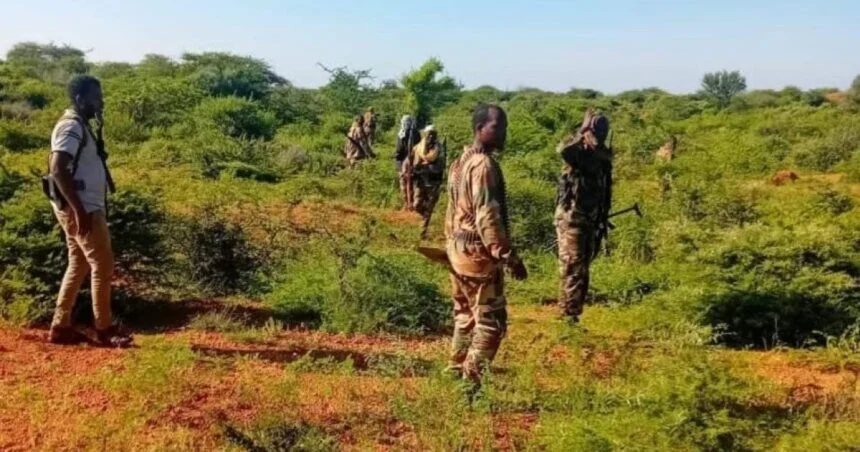 Somali Army Launches Major Offensive Against Al-Shabaab in Lower Shabelle