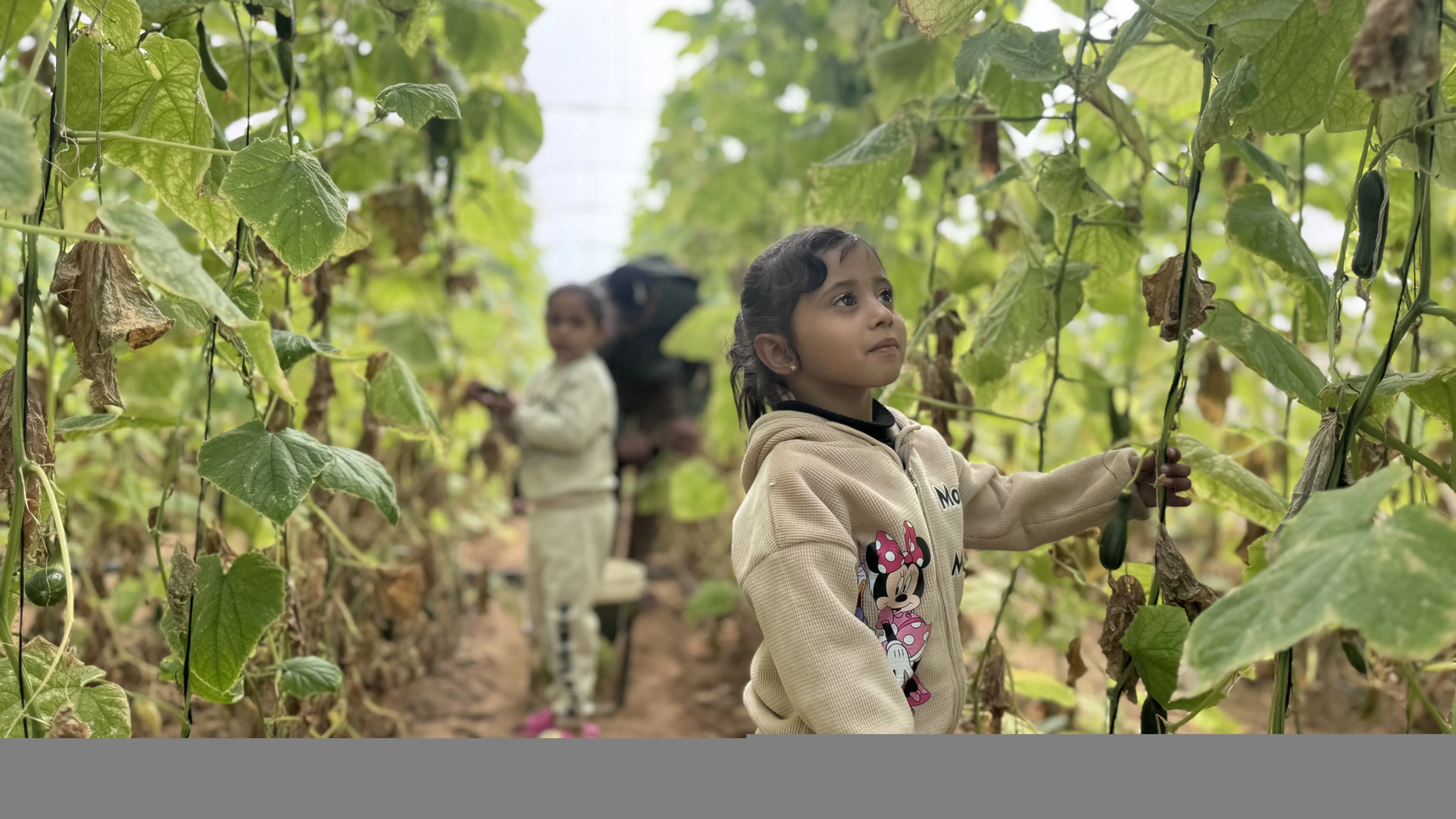 TBHF links environmental restoration with livelihood projects in Zanzibar, Morocco, Gaza