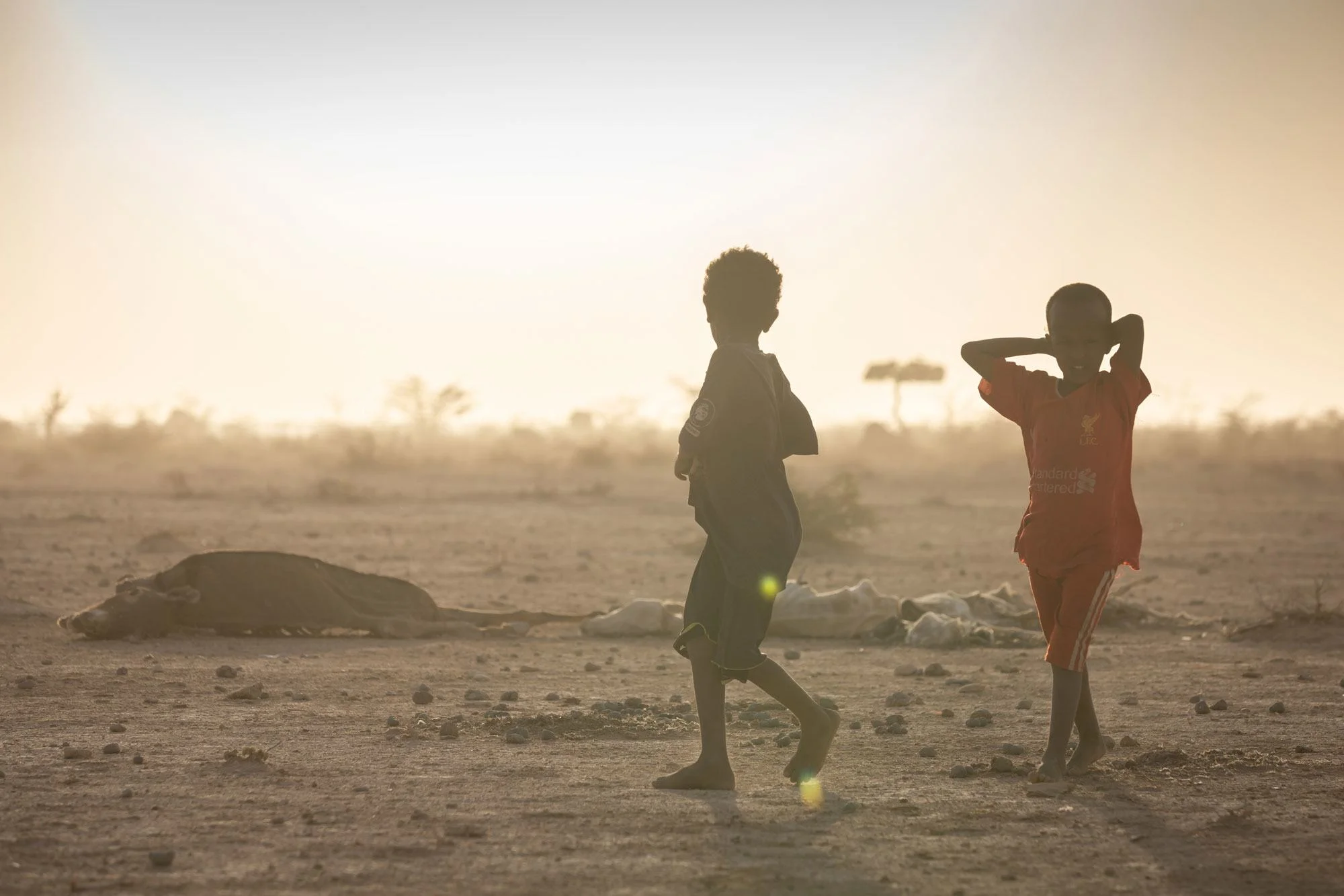 ICAO Chief Urges Immediate Global Action to Protect Commercial Flights from Military Threats