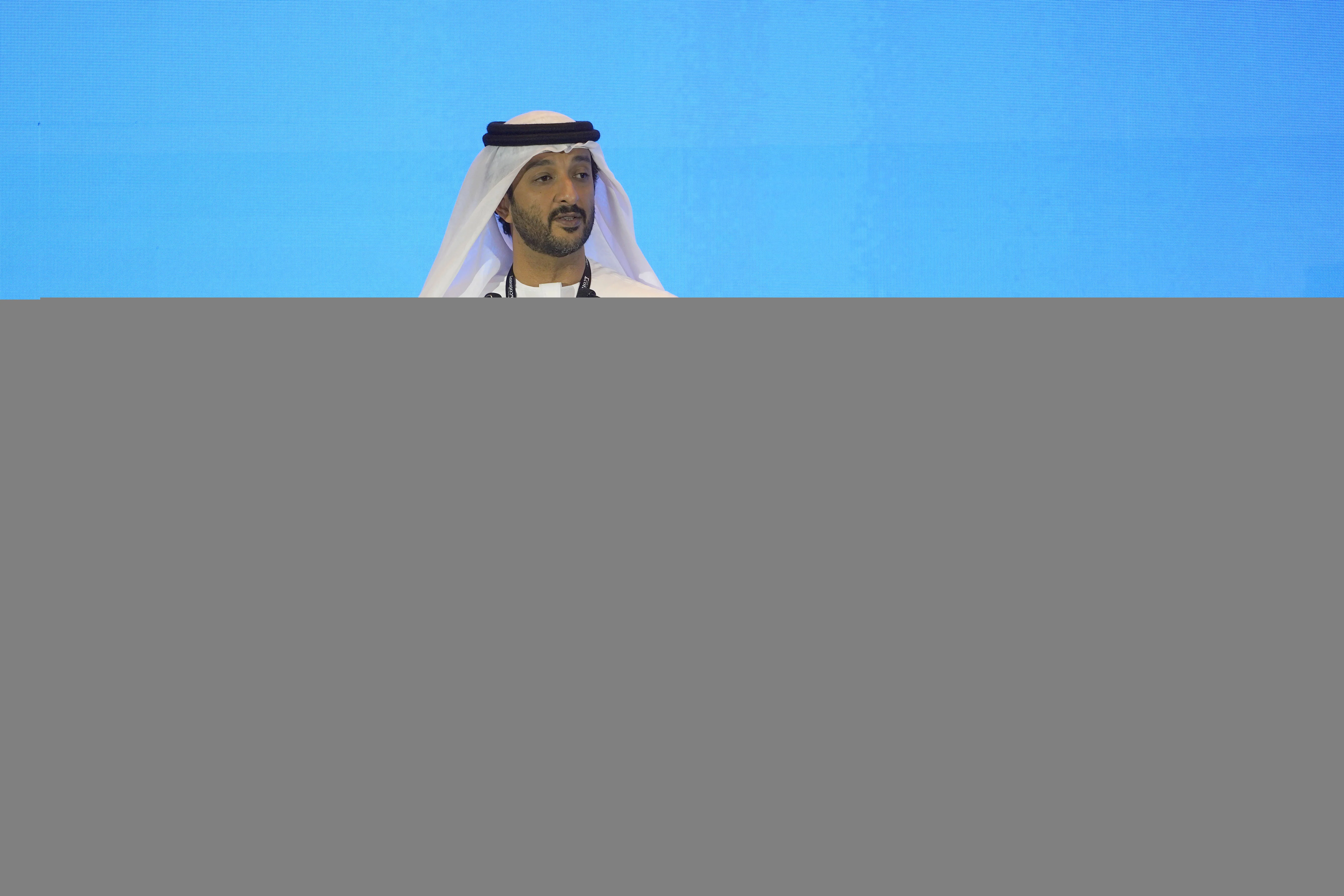 UAE minister says economy can perform under all conditions