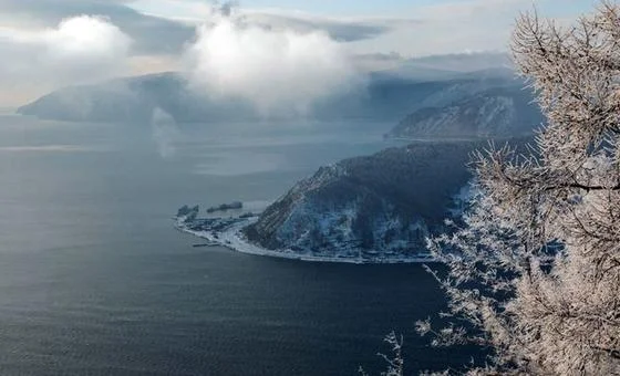WHO Monitoring Suspected Plague Death in Russia's Siberia Region